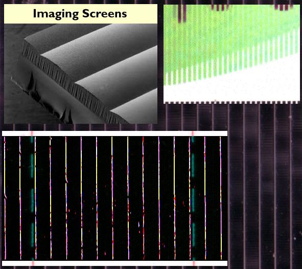 lenticular scans